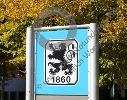 21.10.2021, TSV 1860 Muenchen, Training 

Hier nur Vorschaubilder !